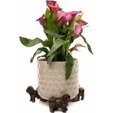Shih Tzu Plant Pot Feet - Set of 3