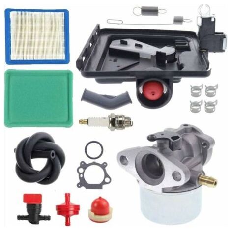 498170 Carburetor 7699056 790849 Spring set for engine 122000 model 4 HP 7 HP without blockage with air filter set--BIEMMEDUE (1/3)