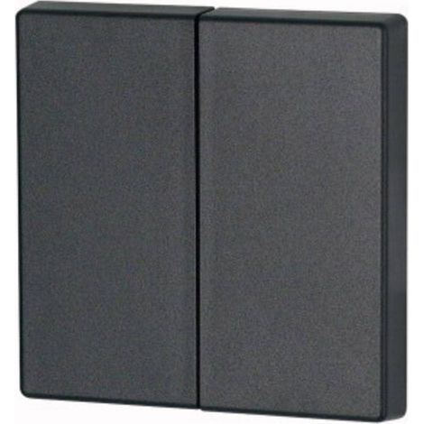Bouton à bascule double anthracite 000126049 EATON CWIZ 02/04 (1/2)