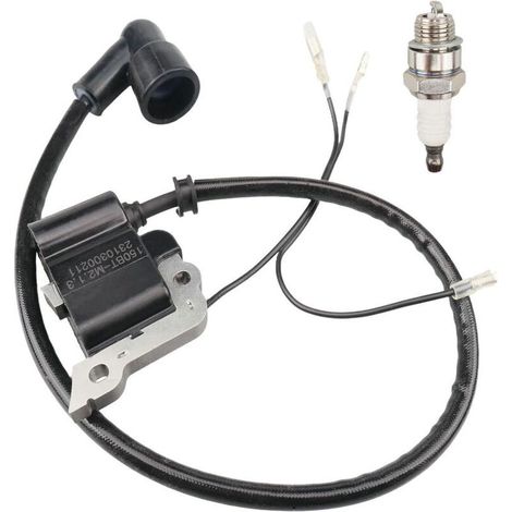 Bobine d'Allumage pour Souffleur 150BT, 350BT, 150BF, 350BF - Avec Bougie (1/3)