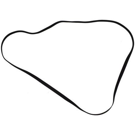 Correa Audio Plana 205x0,50x0,50mm