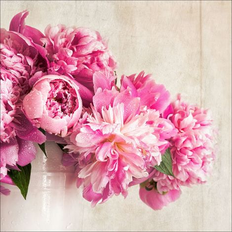 Cadre Mural en Verre Motif pivoines Dimensions 30 x 30 cm