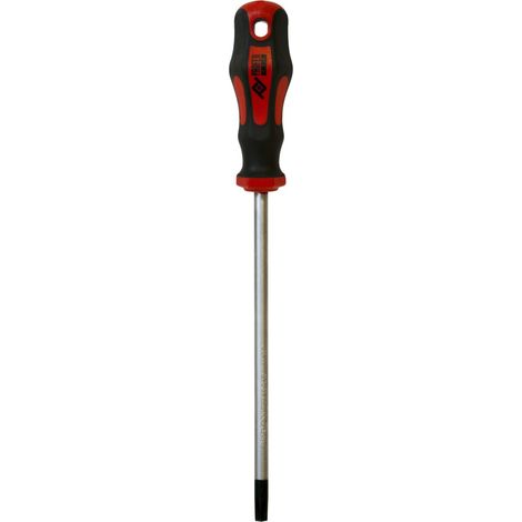 Cacciavite Torx magnetico