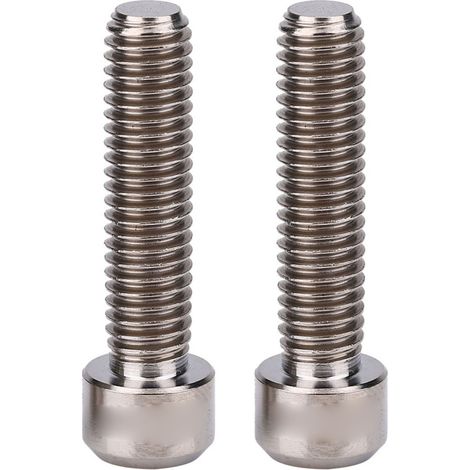 Beyamis RISK Lot de 2 vis M6 x 25 mm pour étrier de frein à disque de VTT (couleur titane) (1/5)
