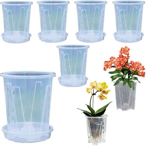 Juego de 6 macetas, Macetas hidropónicas, Incluye platillos, Para plantas araña, orquídeas, suculentas y rosas (10 x 12 cm, Transparentes) (1/5)