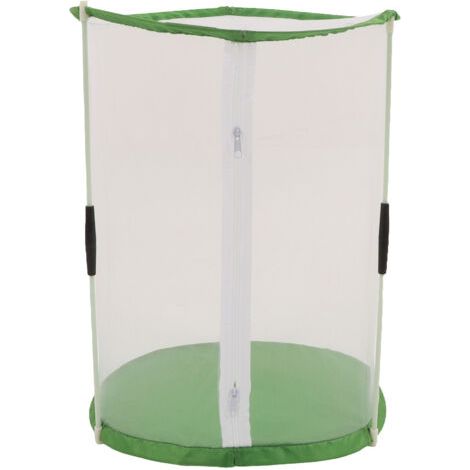 QORVA-Cage cylindrique d'observation des papillons et des insectes, cage d'habitat en maille transparente pour plantes ornementales