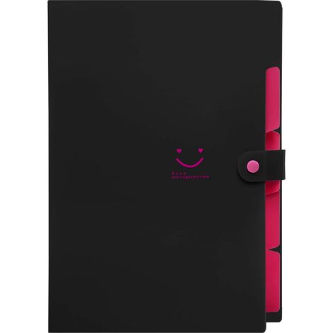 Classeur À Accordion - Classeur De Documents A4 - Organisateur De Papiers Avec Poches Extensibles - 1 Pièce (1/5)