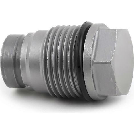 Soupape de limitation de pression pour moteurs 1110010013, compatible avec les références 1110010028, F00R001166, 1110010026, 1110010018 et 1110010017. (1/5)