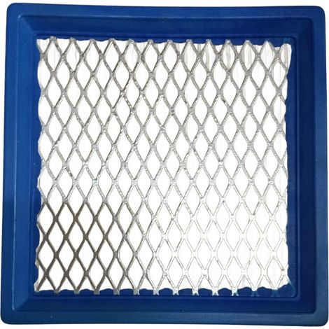 Filtro Aire compatible con B&S 399877  Ref 300286