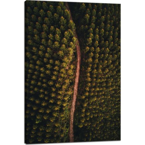 Leinwanddruck „Naturstraße aus der Vogelperspektive“, 40x60