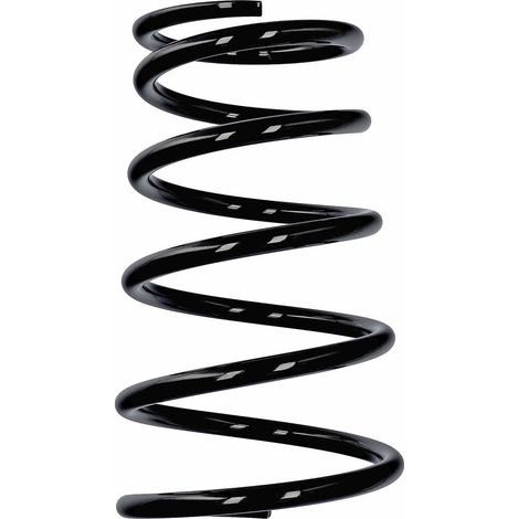 Ressort de suspension arrière Eibach ERL Nissan R10905 (1/2)