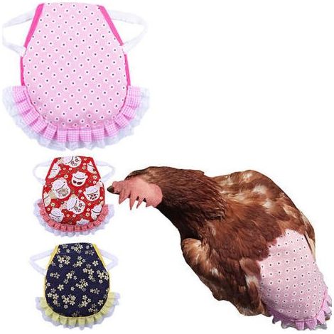 Pcs Tablier Poulet Selle Volaille, Selle De Poulet Poule Tablier De Poulet pour Poule De Volaille Protecteur Dorsal D'Aile pour Volaille Gilets De SéCurité pour Poulet pour Petits Animaux Volaille (1/4)