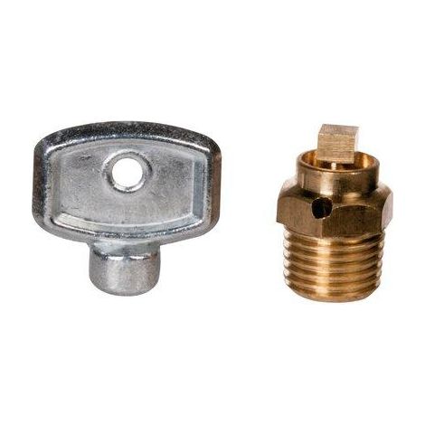 PURGEUR A CARRE + CLE 1/4' WATTS INDUSTRIES 101335