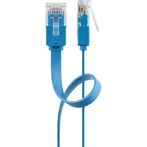 Goobay 96407 cable de red Azul 1,5 m Cat6 U/UTP (UTP)