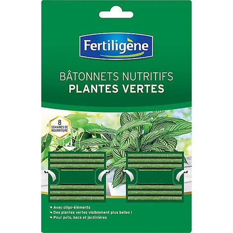 Bastones nutritivos x 40 - FERTILIGENE - Nutrición plantas verdes - FBPV