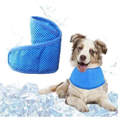 Bandana Chien Refroidissement, Collier Bandana Chien pour L'été, Collier Rafraîchissant pour Chiens, Écharpe Rafraîchissante pour Animaux de Compagnie de Taille Moyenne et Petite, M, Bleu (1/5)