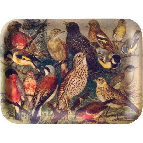 Vassoio da cucina decorativo con uccelli