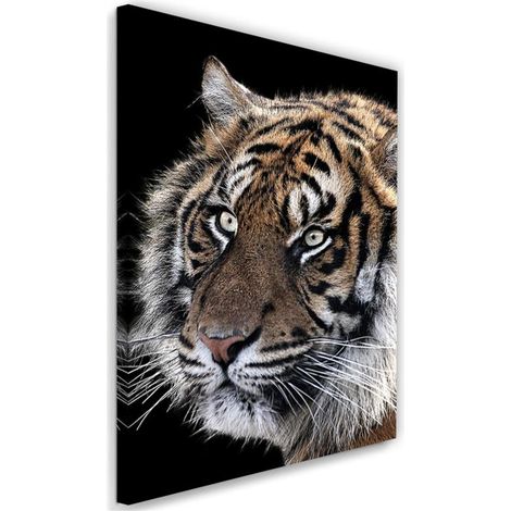 Tableau sur toile Tigre Animaux Nature 40x60 (1/5)