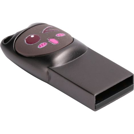 Clé USB 2.0 U Disk en alliage de zinc avec adaptateur Type-C pour téléphone portable et ordinateur (motif mignon gris 16 Go) (1/5)