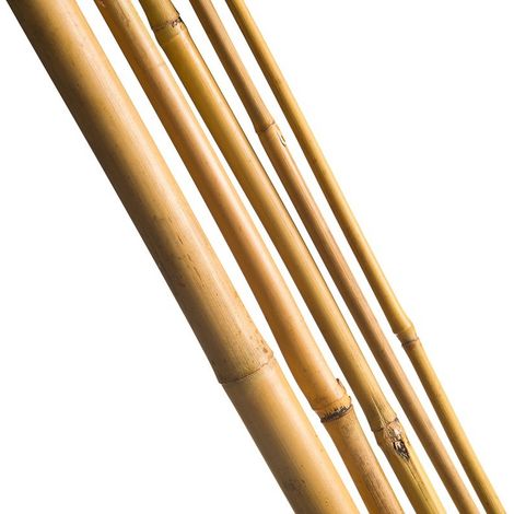 Lot de 10 tuteurs en bambou naturel – Dimensions H60 cm x Ø 6-8 mm – Écologique pour soutien de plantes (1/4)