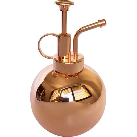 Flacon pulvérisateur en Acier Inoxydable pour Plantes-Petit arrosoir-Outils de Jardinage Modernes pour Plantes en Pot d'intérieur-Arrosage et pulvérisation (Or Rose, 0.5L) (1/5)