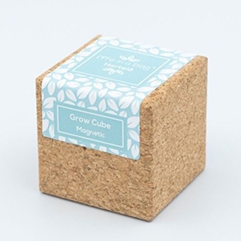 Grow Cube aimanté Menthe