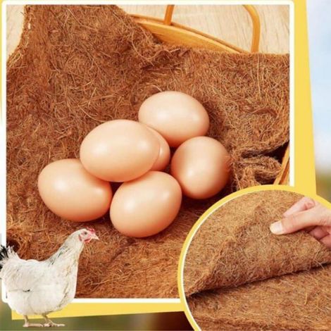 Revêtement Nichoir - Fibre De Coco - 25 x 25 cm - Pour Poulailler - Lot De 4 (1/4)