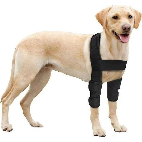 Atmungsaktiver Ellbogenprotektor für Hunde – Unterstützung bei Ekzemen und Hüftdysplasie – Gelenkstabilisierung – Größe M – Beinumfang 16–20 cm (1/5)