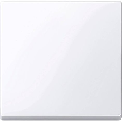 MERTEN 432125 ENJOLIVEUR POUR COMMANDES, ANTIMICROBIEN BRILLANT, SYSTEM M (1/2)