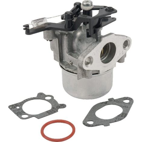 Carburateur BRIGGS ET STRATTON 799479 (1/2)