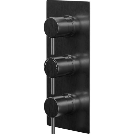 Colore Round Gunmetal Grey Concealed Triple Thermostatic Shower Valve - 2 Outlet (1/5)