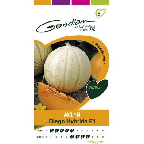Gondian - Melon Diego Hybride F1