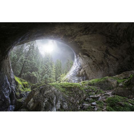 Tableau coup d'oeil au paradis Tableau alu Dibond (1/5)