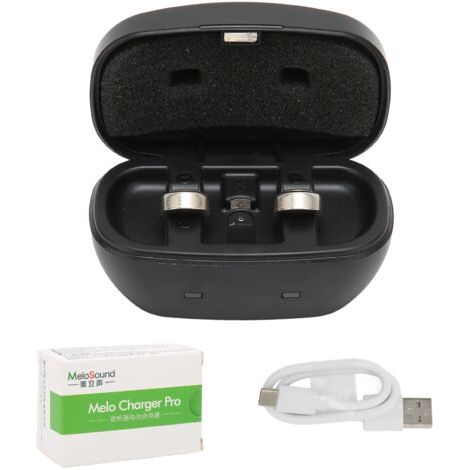 2 piles rechargeables USB A675 avec étui de charge pour appareils auditifs, protection complète contre les chocs (1/5)