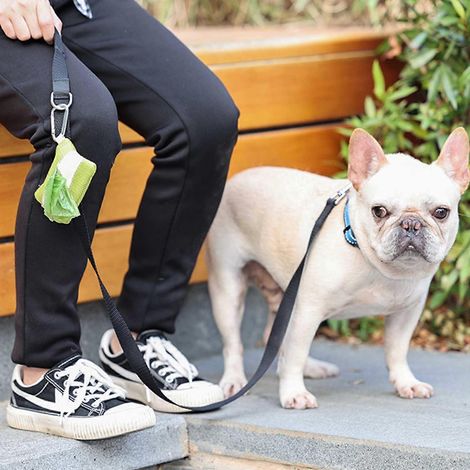 Porte-sac en tissu pour laisse de chien, accessoires pour promener son chien (1/4)