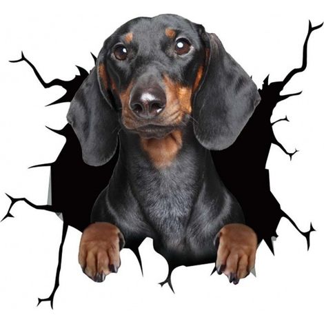 (B)Autoaufkleber mit Hund, Lustige Autoaufkleber mit Hund, Personali