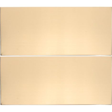 Lot de 2 Plaques de Porte Adhésives 25x11 Cm en Acier Inoxydable Brossé Doré, Panneaux Métalliques Vierges Auto-adhésifs pour Bureau, École, Hôpital, Hôtel et Appartement, Plaque (1/5)