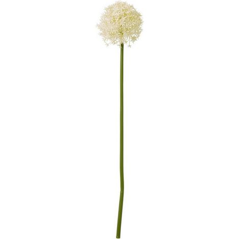 Medium Allium (Single Stem Flower) - Plastic - L16 x W16 x H80 cm - Cream