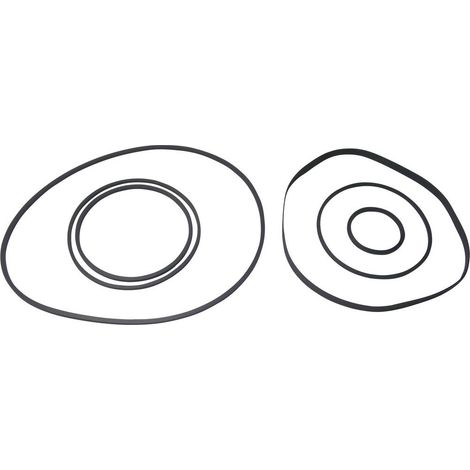 Video-Universal I Assortimento di cinghie