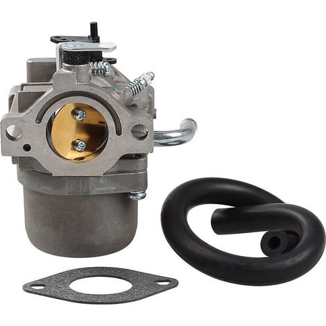 Carburateur 796077 – compatible Briggs & Stratton 590399 M105-77 – pièce moteur (1/5)