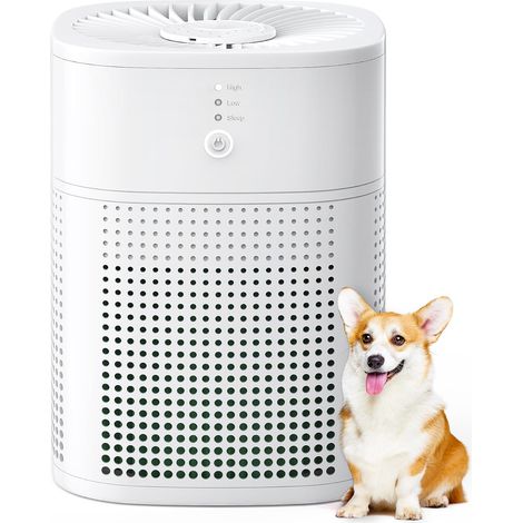 Purificateur d'air pour chambre à coucher avec aromathérapie, filtre à air HEPA, un purificateur d'air qui peut empêcher la poussière, le pollen, les poils d'animaux et la fumée, 24 dB avec (1/5)