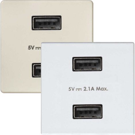 Cargador 2xUSB 5V/DC 2,1A Simon 27 blanco SIMON 2701096-030 (1/2)