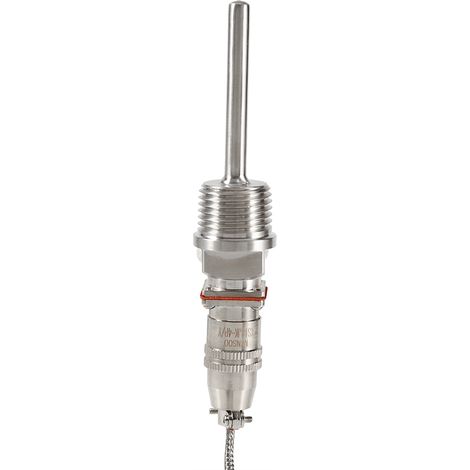 Sonde de température RTD PT100, filetage NPT 1/2", câble de 2 mètres