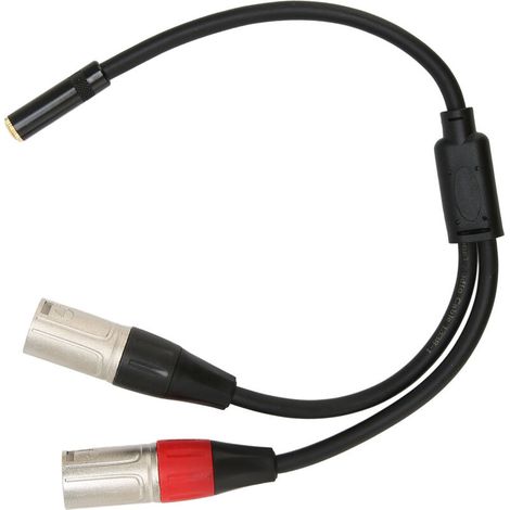 Câble Audio Professionnel 3.5mm Femelle vers Double XLR Mâle, 30 cm, Stéréo Équilibré pour Microphone (1/5)