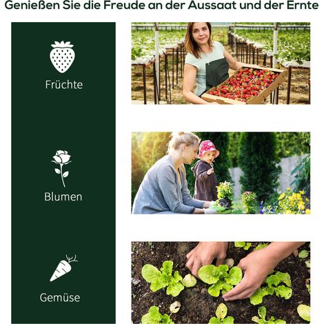 Serre de jardin tunnel avec porte, châssis froid pour plants, acier et PVC, 250x100x80 cm (1/5)
