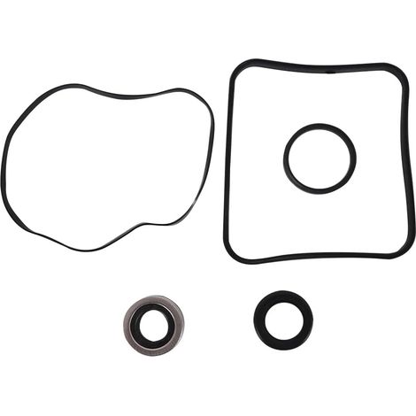 SP3000X O-Ring Repair Kit for R Series Super II SP3000X Pool Pump.Includes SPX1600Z2 PS-201 Shaft Seal Set (1/5)
