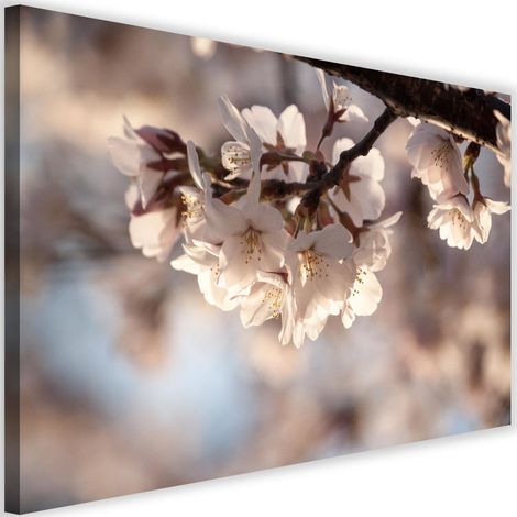 Tableau déco Fleurs de cerisier Nature 60x40 (1/5)