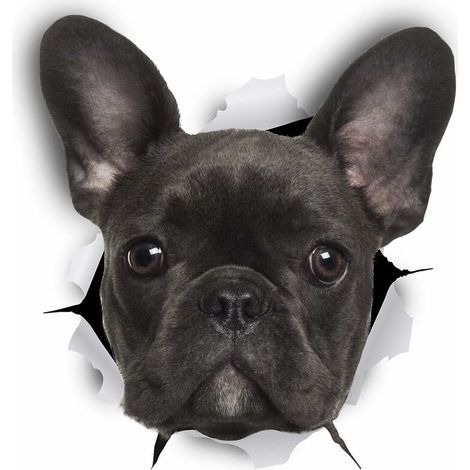 MINKUROW 3d Adesivi Murali Cane - Confezione Da 2 - Adesivi Decorativi Divertenti - Decalcomanie Cane Bulldog Francese Nero Per Parete - Frigorifero - Toilette - Camera - Auto - Frigorifero (1/5)