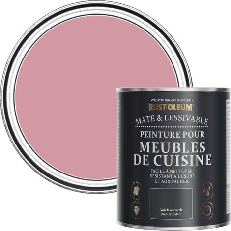 Peinture Rose pour Meubles de Cuisine, Finition Mate - Rose Antique 750ml (1/5)