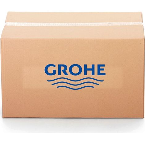 GROHE Doccetta 48573 cromo, 48573000